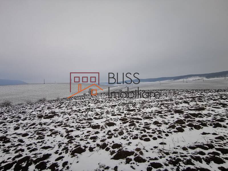 Photo 10 - BLISS Imobiliare