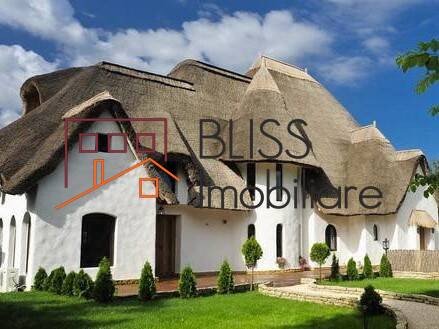 Villa for Rent Mogosoaia, Bucharest / Ilfov - 2 Bedroom - ID:15000 | Bliss Imobiliare / Photo 2 - BLISS Imobiliare