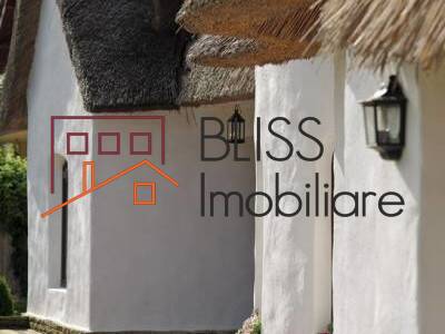 Villa for Rent Mogosoaia, Bucharest / Ilfov - 2 Bedroom - ID:15000 | Bliss Imobiliare / Photo 3 - BLISS Imobiliare