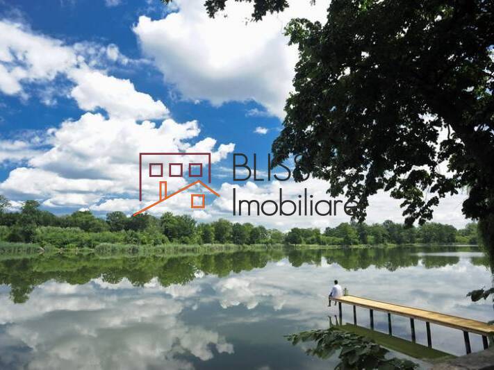 Villa for Rent Mogosoaia, Bucharest / Ilfov - 2 Bedroom - ID:15000 | Bliss Imobiliare / Photo 5 - BLISS Imobiliare