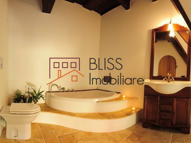Villa for Rent Mogosoaia, Bucharest / Ilfov - 2 Bedroom - ID:15000 | Bliss Imobiliare / Photo 13 - BLISS Imobiliare