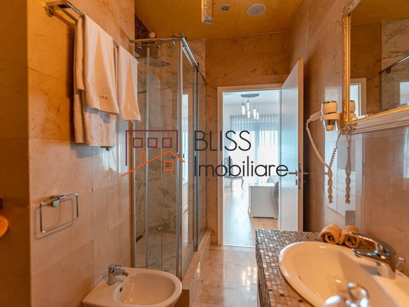 Penthouse With 2 Bedrooms In Baneasa Area, Bucharest / Ilfov | Bliss Imobiliare / Photo 23 - BLISS Imobiliare