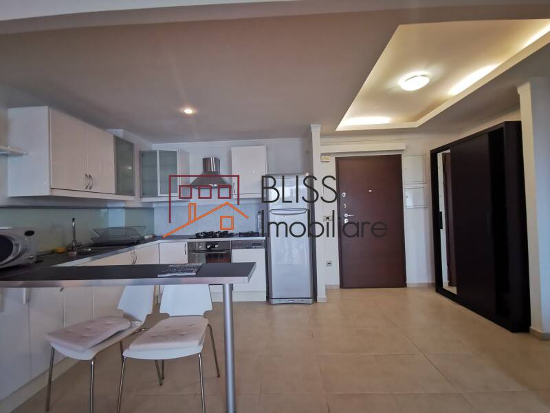 Fully Furnished One Bedroom Apartment Tei, Bucharest | Bliss Imobiliare / Photo 7 - BLISS Imobiliare