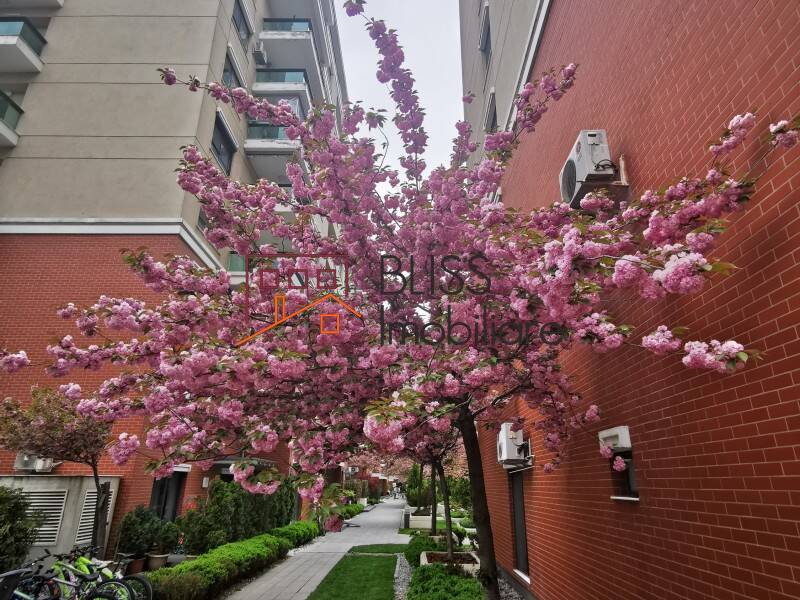 Photo 10 - BLISS Imobiliare