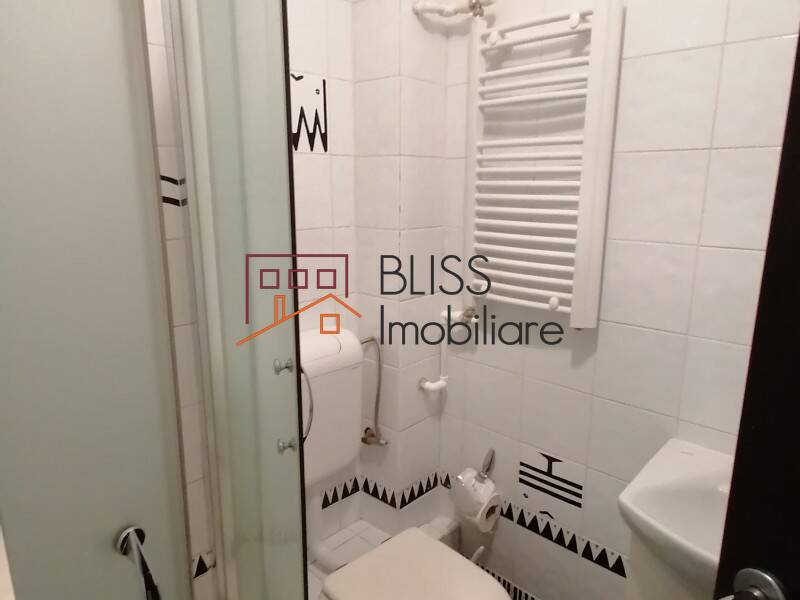 Fully Furnished 1 Bedroom Apartment Unirii, Bucharest | Bliss Imobiliare / Photo 10 - BLISS Imobiliare