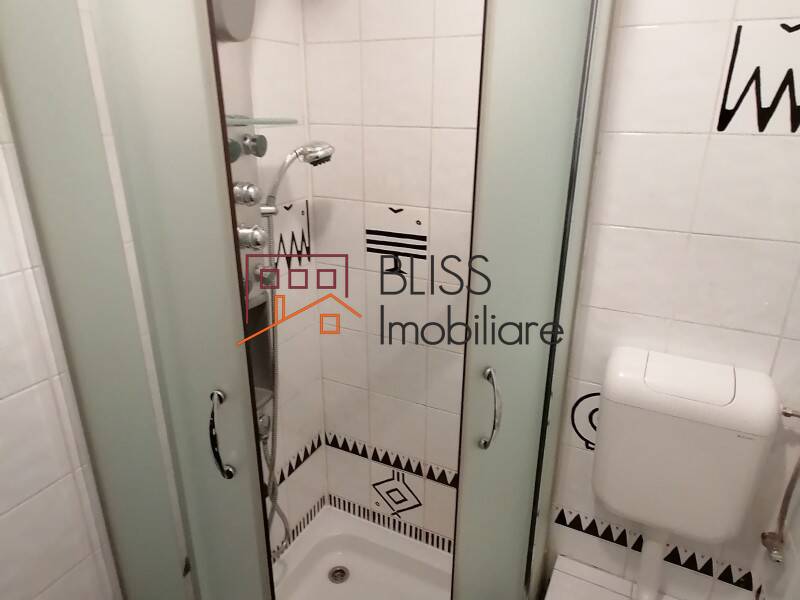 Fully Furnished 1 Bedroom Apartment Unirii, Bucharest | Bliss Imobiliare / Photo 11 - BLISS Imobiliare