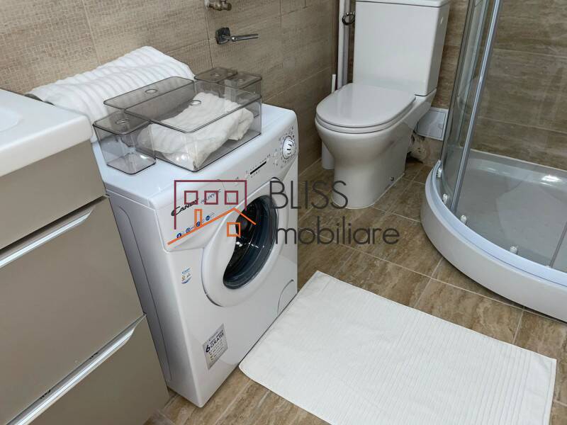 Modern Fully Furnished Studio Apartment Izvor Park, Bucharest | Bliss Imobiliare / Photo 24 - BLISS Imobiliare