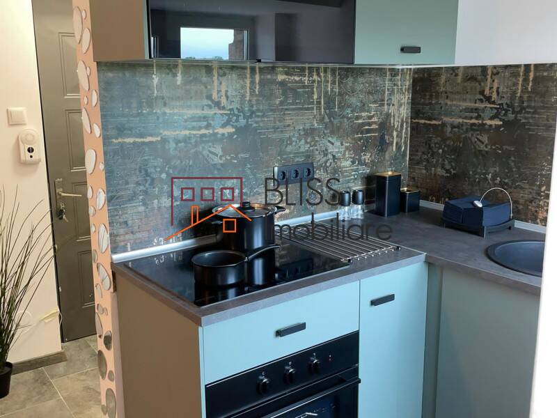 Modern Fully Furnished Studio Apartment Izvor Park, Bucharest | Bliss Imobiliare / Photo 16 - BLISS Imobiliare