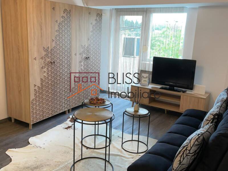 Modern Fully Furnished Studio Apartment Izvor Park, Bucharest | Bliss Imobiliare / Photo 2 - BLISS Imobiliare