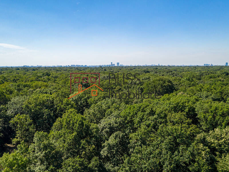 Photo 4 - BLISS Imobiliare