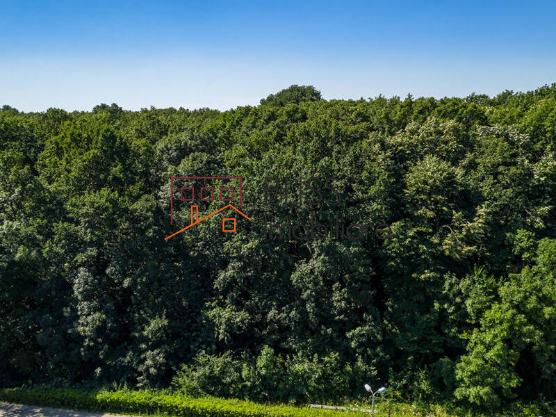 Photo 3 - BLISS Imobiliare