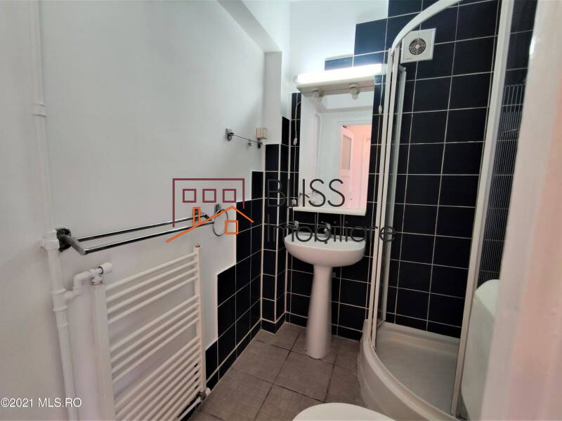 Studio Apartment In Floreasca Area, Bucharest | Bliss Imobiliare / Photo 4 - BLISS Imobiliare
