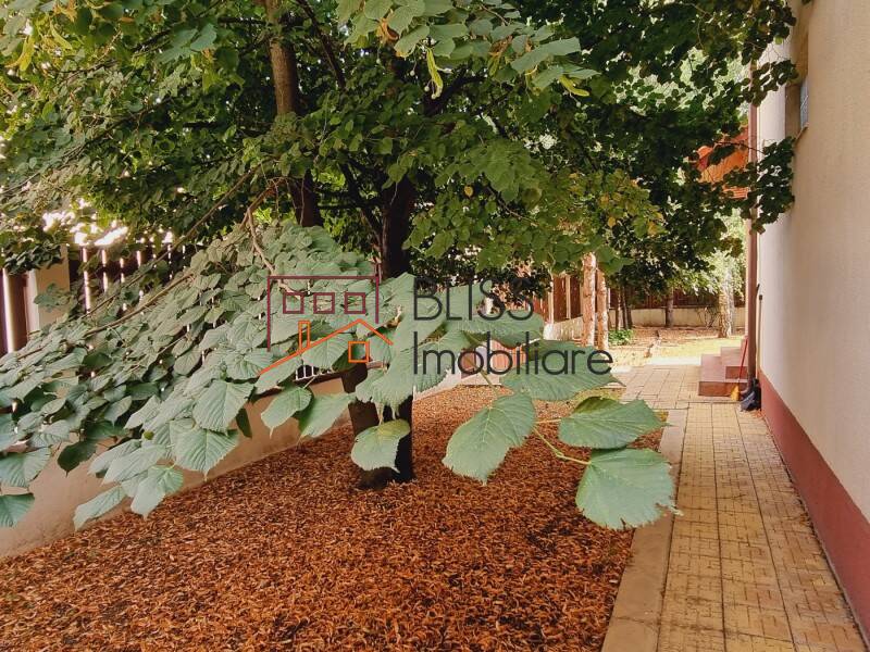 Vila Cu 6 Camere In Zona Iancu Nicolae | Bliss Imobiliare / Photo 80 - BLISS Imobiliare