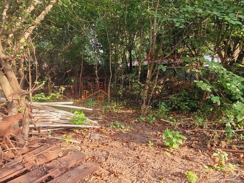 Photo 3 - BLISS Imobiliare