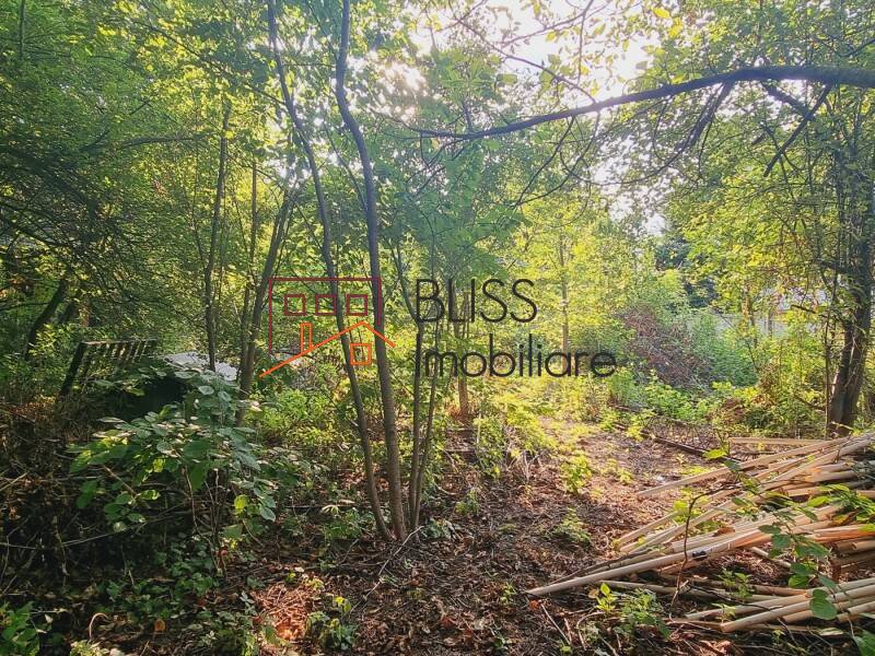 Photo 4 - BLISS Imobiliare