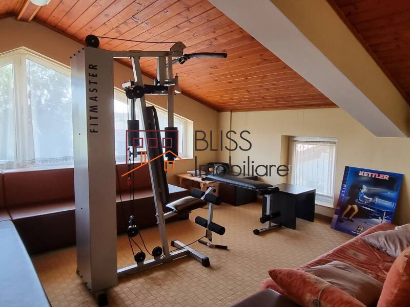 Villa With 10 Bedrooms And Spacious Garden In Baneasa, Bucharest | Bliss Imobiliare / Photo 88 - BLISS Imobiliare