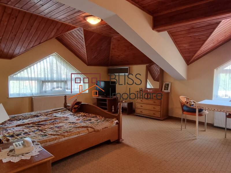 Villa With 10 Bedrooms And Spacious Garden In Baneasa, Bucharest | Bliss Imobiliare / Photo 96 - BLISS Imobiliare