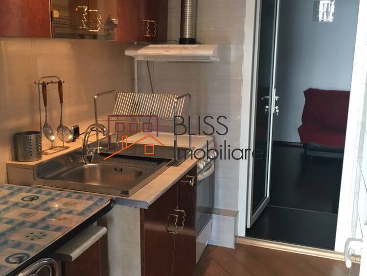 House for Rent Bucurestii Noi - Damaroaia - Chitila, Bucharest - 1 Bedroom - ID:81518 | Bliss Imobiliare / Photo 4 - BLISS Imobiliare