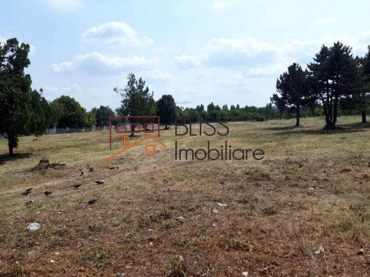 Photo 3 - BLISS Imobiliare