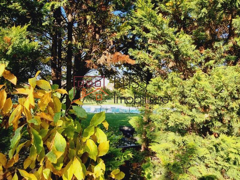 Impressive 5 Bedroom Villa Pipera Bucharest, Bucharest / Ilfov | Bliss Imobiliare / Photo 4 - BLISS Imobiliare