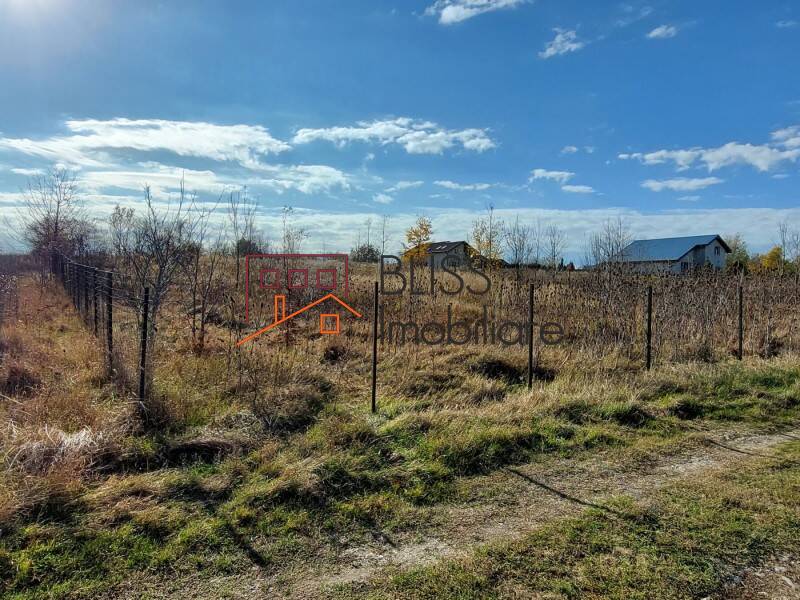 Photo 2 - BLISS Imobiliare