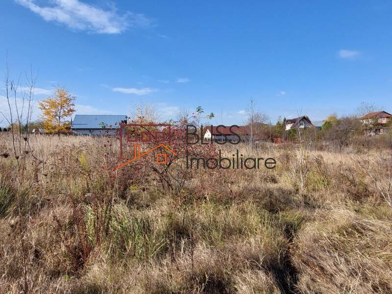 Photo 8 - BLISS Imobiliare