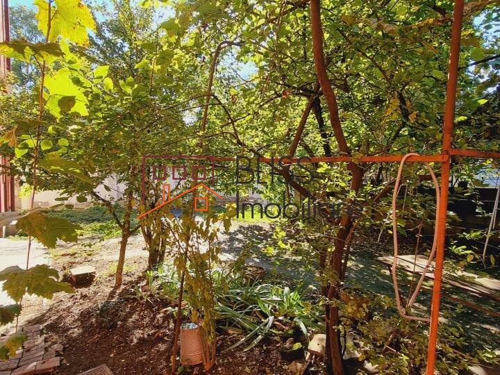 Photo 2 - BLISS Imobiliare