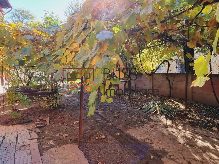 Photo 4 - BLISS Imobiliare