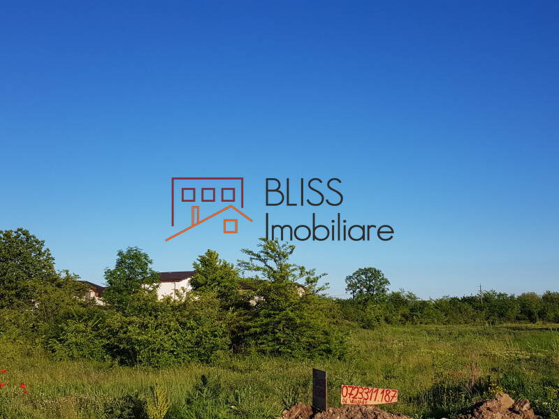Photo 1 - BLISS Imobiliare