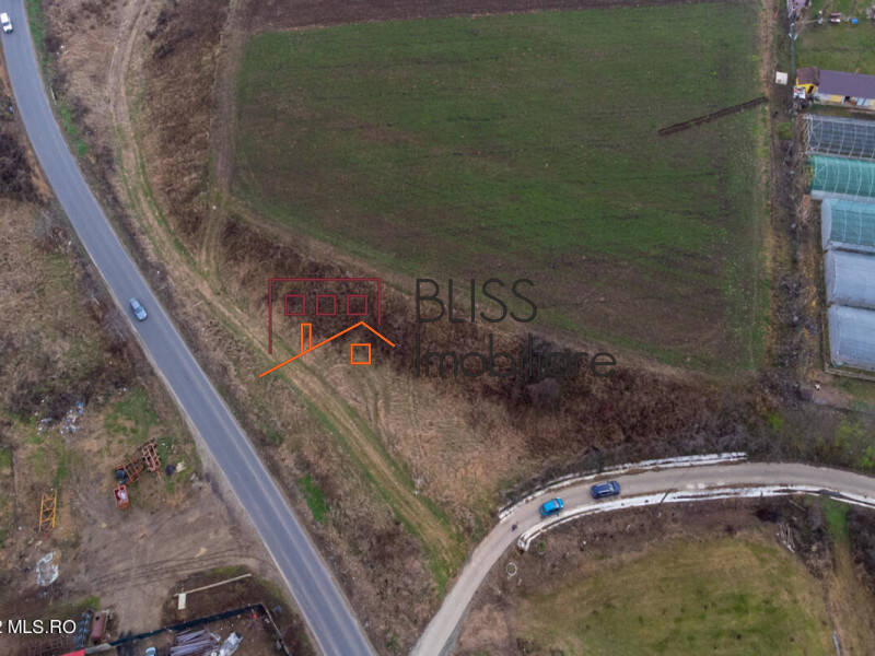 Photo 11 - BLISS Imobiliare