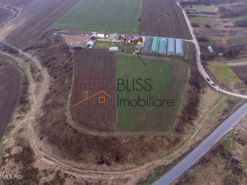 Photo 16 - BLISS Imobiliare