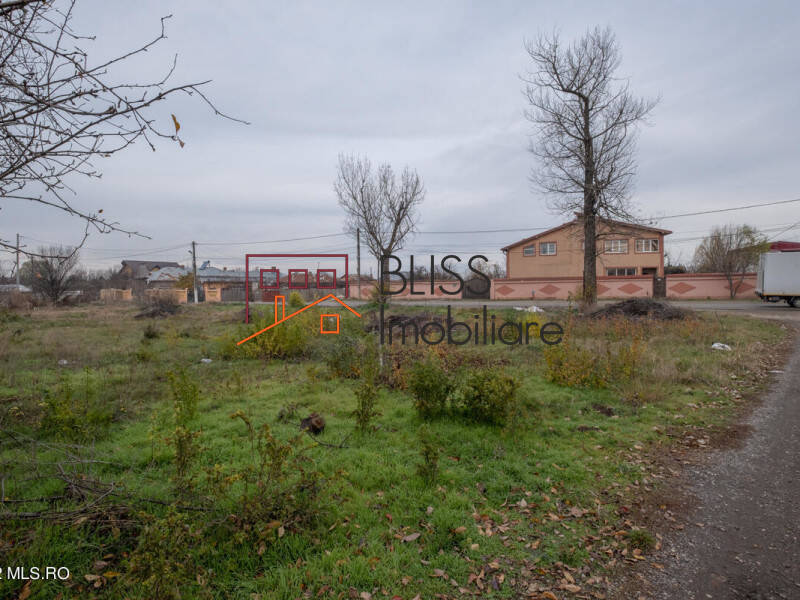 Photo 1 - BLISS Imobiliare