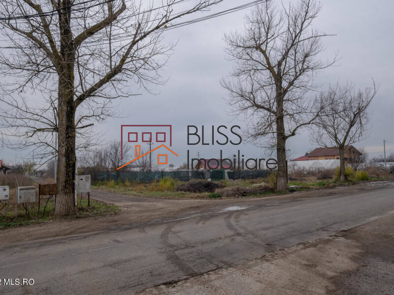 Photo 4 - BLISS Imobiliare