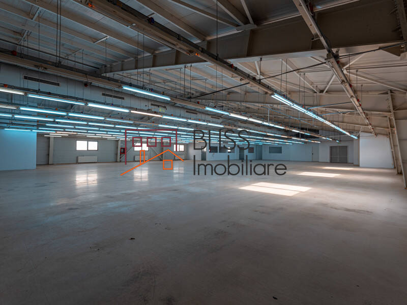 Spatiu De Productie Cu Birouri In Militari | Bliss Imobiliare / Photo 32 - BLISS Imobiliare