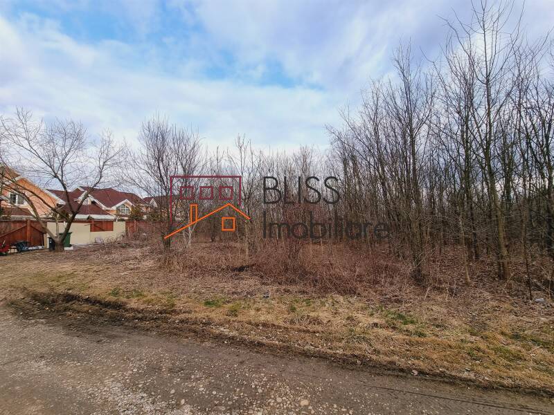 Photo 2 - BLISS Imobiliare