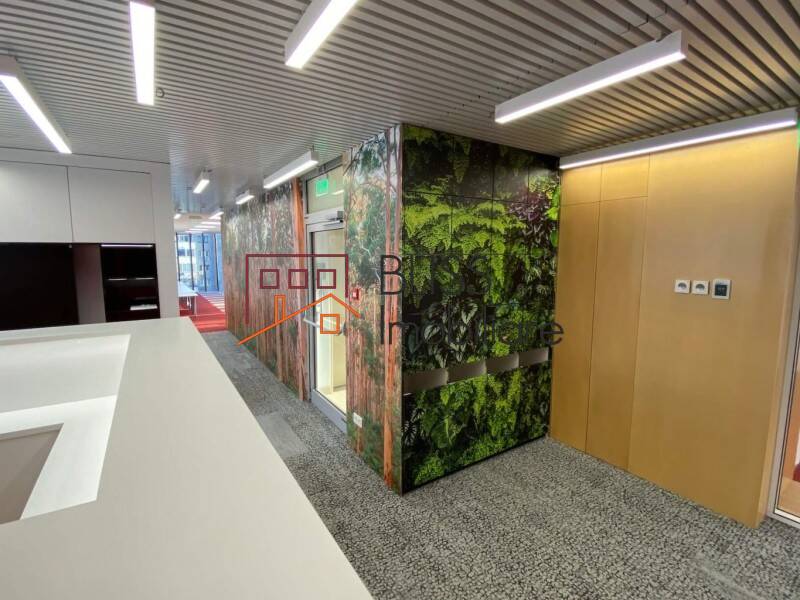 Photo 14 - BLISS Imobiliare