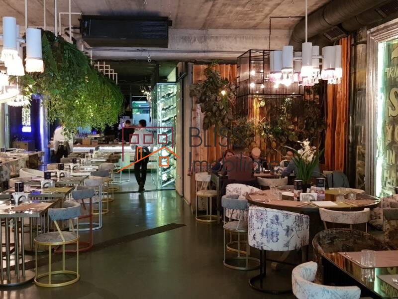 Commercial space for Rent Floreasca | Barbu Vacarescu, Bucharest - ID:103755 | Bliss Imobiliare / Photo 17 - BLISS Imobiliare