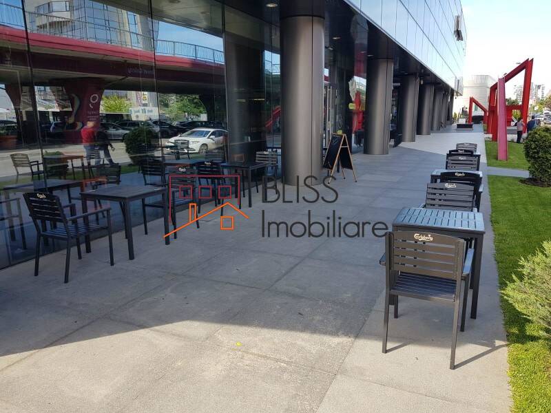 Office space for Rent Aviatiei | Promenada mall | Metro Pipera, Bucharest - ID:105256 | Bliss Imobiliare / Photo 11 - BLISS Imobiliare