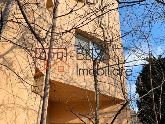 Villa for Rent Dorobanti | Primaverii | Kiseleff | Aviatorilor, Bucharest - 6 Bedroom - ID:105640 | Bliss Imobiliare / Photo 16 - BLISS Imobiliare