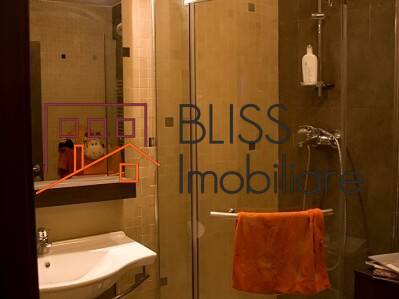 Apartament de Inchiriat Parcul Circului - 3 Camere - ID:21702 | Bliss Imobiliare / Photo 11 - BLISS Imobiliare