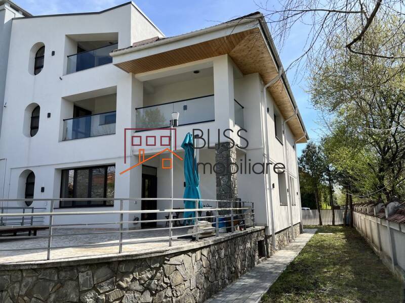Casa de Vanzare Iancu Nicolae | Pipera - 8 Camere - ID:106633 | Bliss Imobiliare / Photo 5 - BLISS Imobiliare