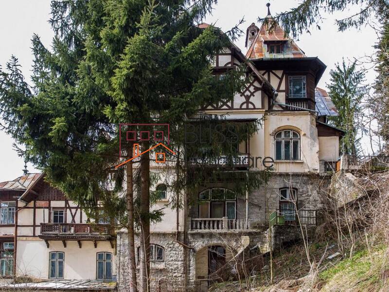 Monument Istoric Vila Carola Din Sinaia | Bliss Imobiliare / Photo 3 - BLISS Imobiliare
