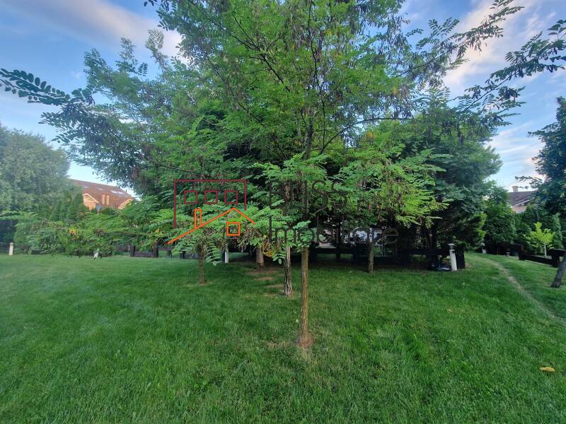 Vila 7 Camere In Ibiza Golf & Light | Bliss Imobiliare / Photo 61 - BLISS Imobiliare