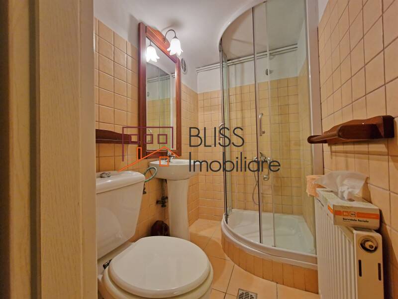 Apartament 5 Camere Gradina Icoanei | Bliss Imobiliare / Photo 38 - BLISS Imobiliare