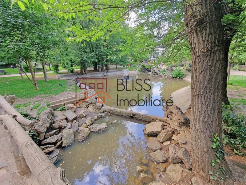 Apartament 5 Camere Gradina Icoanei | Bliss Imobiliare / Photo 48 - BLISS Imobiliare