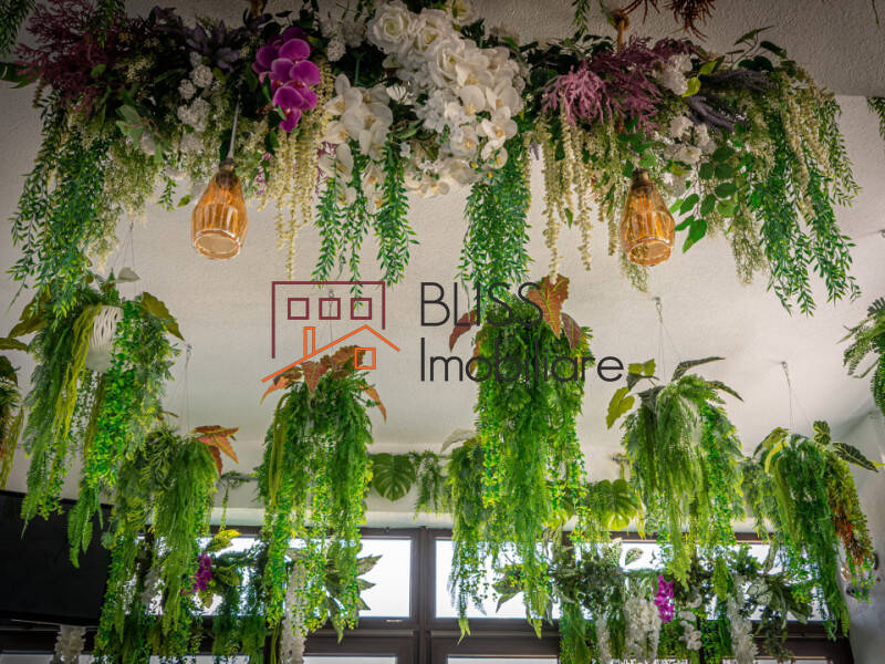 Office space for Sale Tabara Navodari, Constanta, Judetul Constanta, Romania - ID:108297 | Bliss Imobiliare / Photo 9 - BLISS Imobiliare