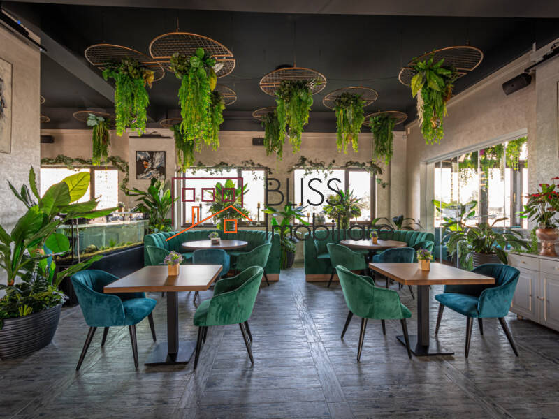 spațiu de birouri de Vanzare Tabara Navodari - ID:108297 | Bliss Imobiliare / Photo 12 - BLISS Imobiliare