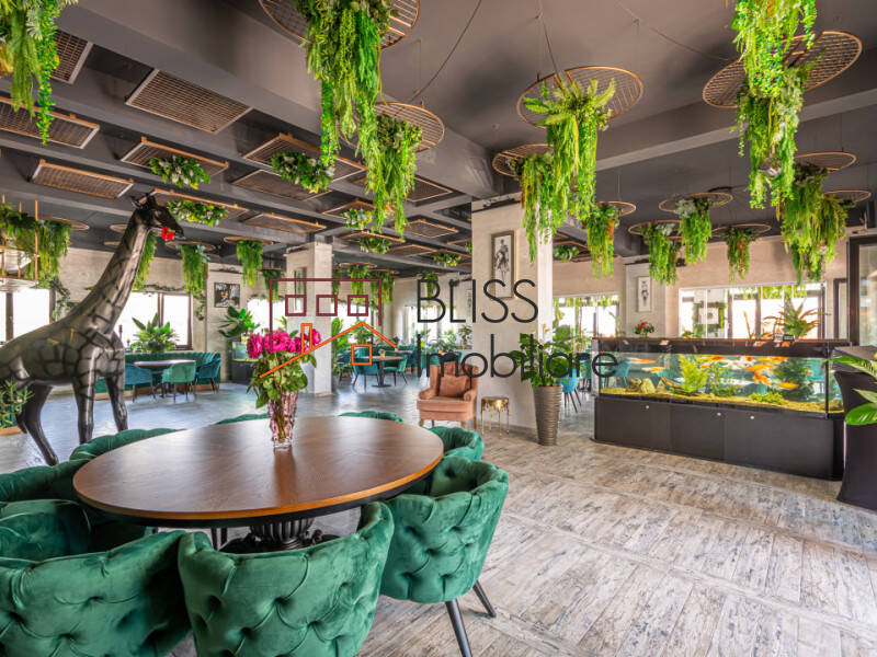 Office space for Sale Tabara Navodari, Constanta, Judetul Constanta, Romania - ID:108297 | Bliss Imobiliare / Photo 16 - BLISS Imobiliare