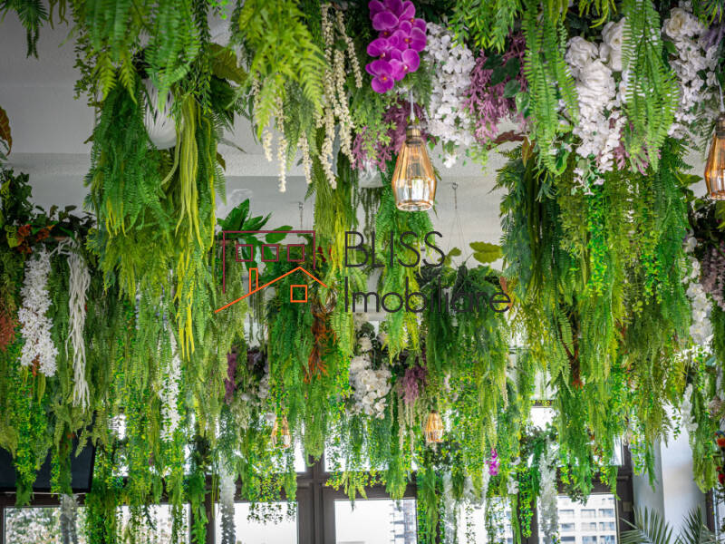 Office space for Sale Tabara Navodari, Constanta, Judetul Constanta, Romania - ID:108297 | Bliss Imobiliare / Photo 19 - BLISS Imobiliare