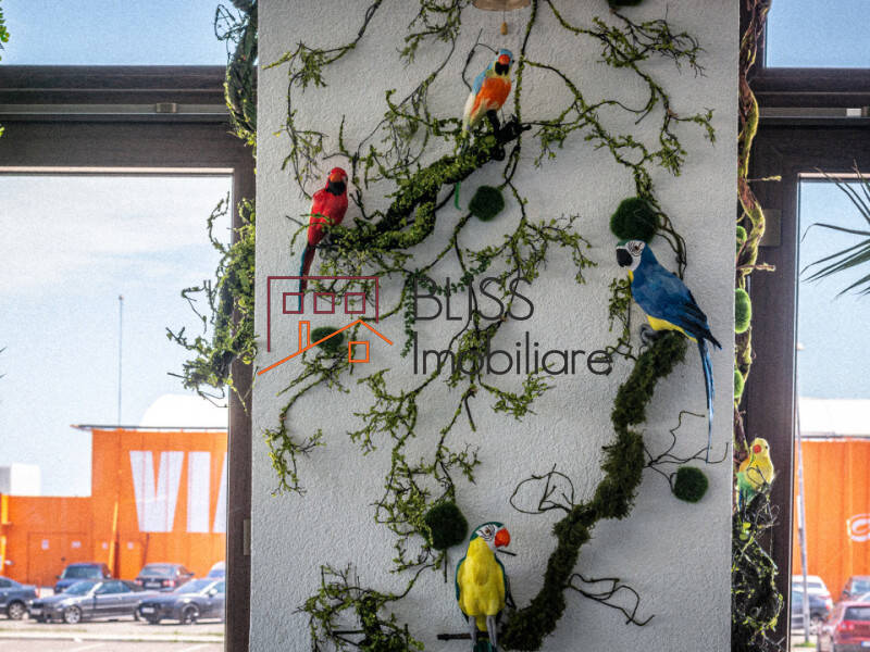 spațiu de birouri de Vanzare Tabara Navodari - ID:108297 | Bliss Imobiliare / Photo 22 - BLISS Imobiliare